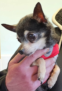 629754139_1526907862798641_8668319227377708534_n