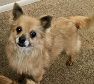 630399752_901719002716634_7771827387338143547_n