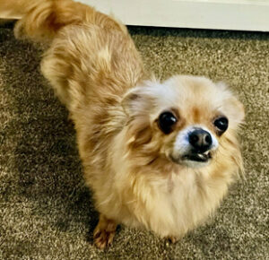 637891695_1231272325737971_7901218673950321416_n