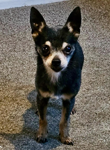 638378081_925422506881436_1763030204415274506_n