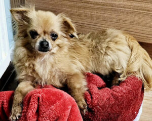 638898218_26219660484388941_5522615685803378794_n