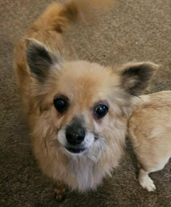 640114464_3287219628120541_8027478116569443281_n