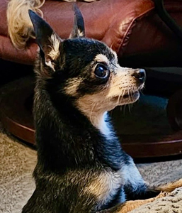 641814951_1255344326065605_651001524111957062_n