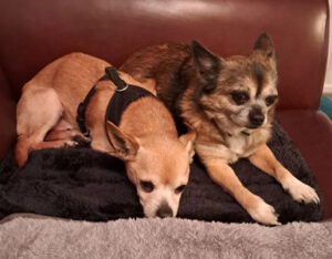 644026575_122181301826790901_4653184752789869934_n