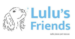 646364794_10164068148019269_5223108732206551912_n