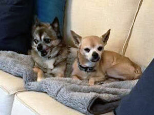 647919396_10164067889524269_9058877885399071600_n