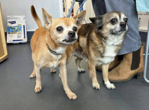 649055190_10164068147949269_968779869071080223_n