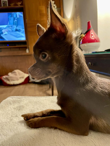 7064057b-fda9-40e6-b115-7407d76f2fbb