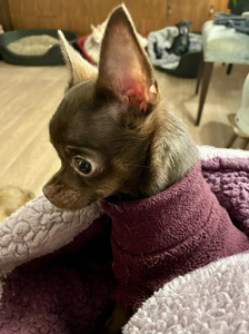 ad212ae5-b67f-4edf-b9b8-045ccebbd6d2