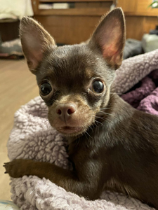 ddefcc35-2eb7-4b2b-adcc-7854bce9aeeb