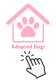 ADOPTED DOGS PINK 2026