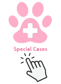 SPECIAL CASES PINK 2026