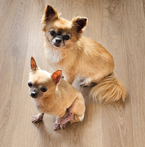 Missy and Theo