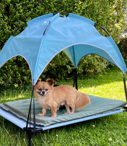 gizmo 4