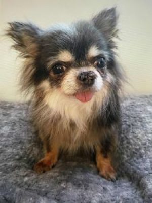 0344808b-1626-4c38-82e2-3ebd0644f0ec