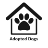 2026 adopted dogs icon