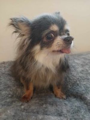 473166299_615328471286340_6188365787463682129_n