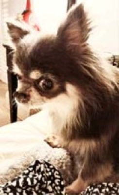 480349021_521261810543661_2622492088640472946_n