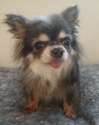 480814484_10162460105404269_829412147580567397_n