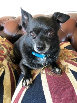 ALFIE 1