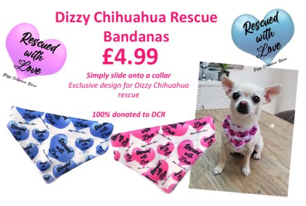 DCR bandana advert for website DCR bandana advert for website