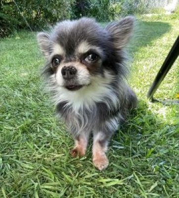 b0722c77-d88b-471f-ba79-6954e0ef4b46