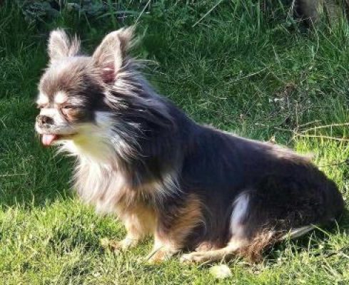 b512856d-b0cc-40ec-a6c1-20367c3c3833