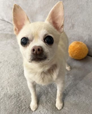 charlie