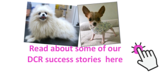success stories ad