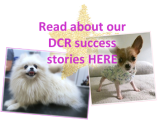 success stories logo